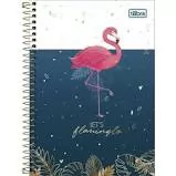 CADERNO ESPIRAL CAPA DURA 1/4 ALOHA 80 FOLHAS TILIBRA