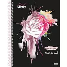CADERNO COLEGIAL CAPA DURA 80 FOLHAS MOMENT SAO DOMINGOS