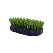 ESCOVA OVAL PLASTICA DALCIN