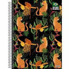 CADERNO CAPA DURA UNIVERSITARIO 1M 80 FOLHAS SOS SÃO DOMINGOS