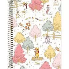 CADERNO CAPA DURA UNIVERSITARIO 1M POOH 80 FOLHAS TILIBRA