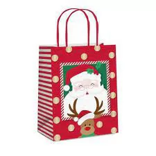 SACOLA LAM G 32X26,5X13 CROMUS