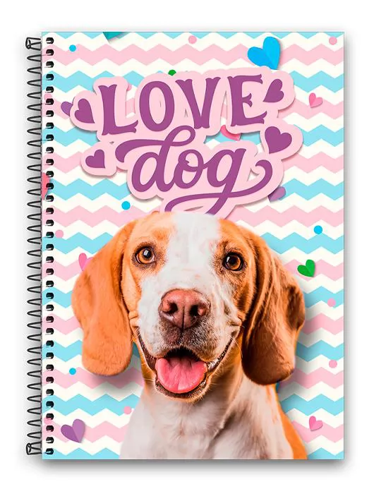 CADERNO CAPA DURA ESPIRAL UNIVERSITARIO 10M 200 FOLHAS CLUBE COLEGIAL NOVA