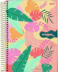 CADERNO CAPA DURA ESPIRAL 1/4 80 FOLHAS ECO LINEA JANDAIA