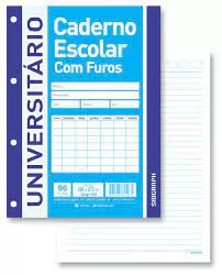 FOLHA PARA FICHARIO 200X275 96 FOLHAS SIDGRAPH