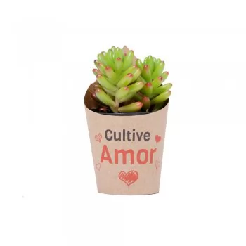 CAIXA DE PRESENTE COVER CACHEPOT POTE 06 10X06CM C/20UN TROPICAL XINGO