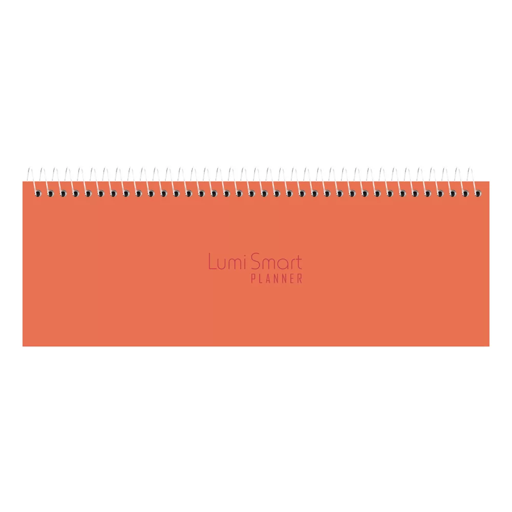 PLANNER HORIZONTAL 52 FOLHAS SCRATCH KIT