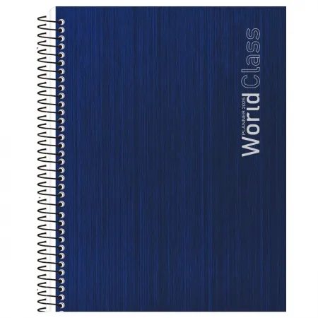 CADERNO ESP 1/4 CD 80F WORLD CLASS ANIMATIVA