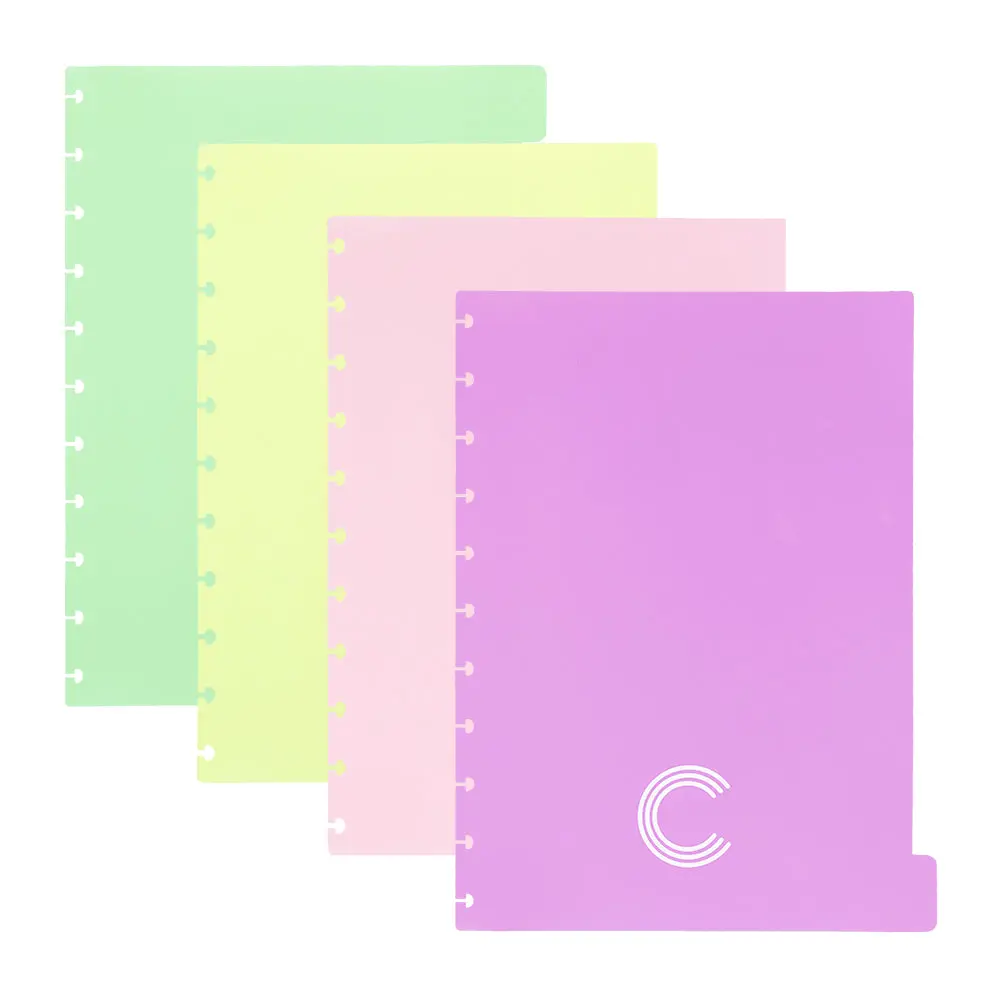 DIVISORIAS PASTEL - GRANDE- CADERNO INTELIGENTE