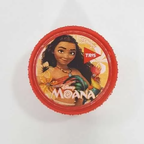 APONTADOR COM DEPOSITO 1F TRIS MOANA