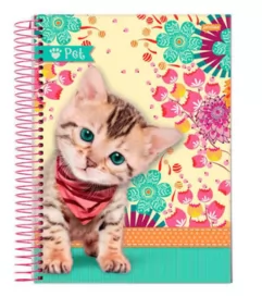 CADERNO 96 FL  PET CAPAS SORTIDAS- JANDAIA