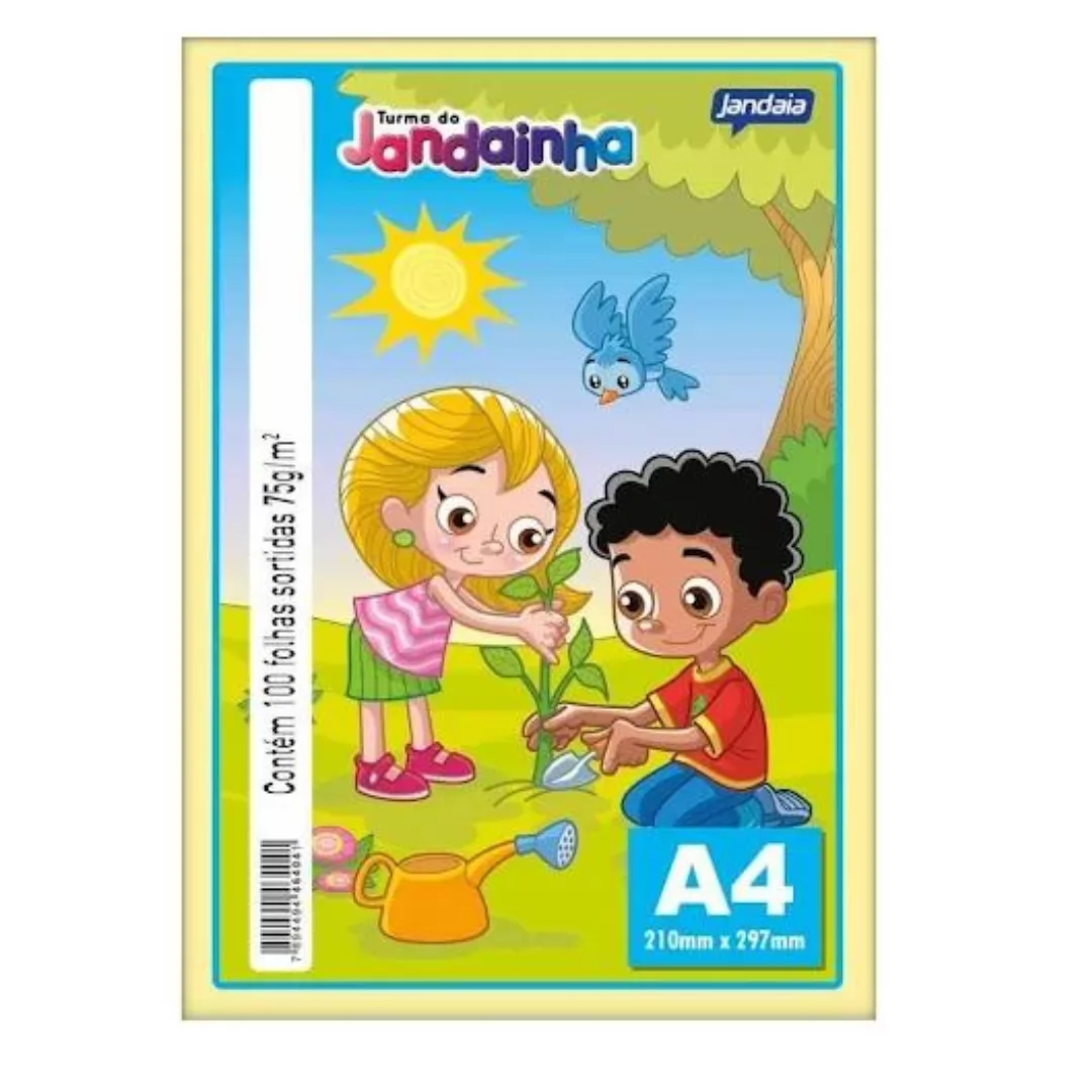 JANDAINHA SORTIDO 75G A4 PT C/100 FLS