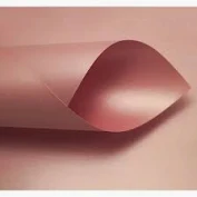 PAPEL A4 BRILHO ROSA PÉROLA 120G CANSON UN