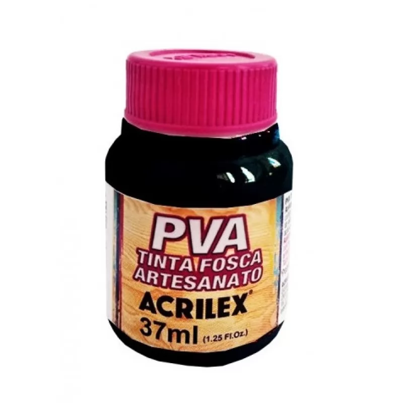 TINTA FOSCA PVA ARTESANATO 37ML PRETA