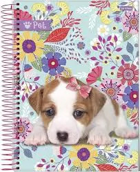 CADERNO 200 FL JANDAIA PET UN. CAPA SORTIDA