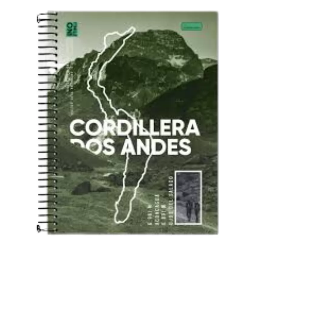 CADERNO ESPIRAL 80FLS 01X1 NO LIMITS