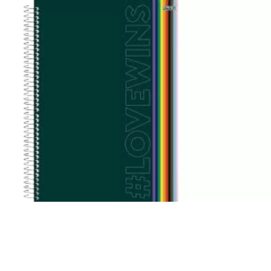CADERNO UNIVERSITÁRIO 1M 80F  LOVE WINS - SÃO DOMINGOS