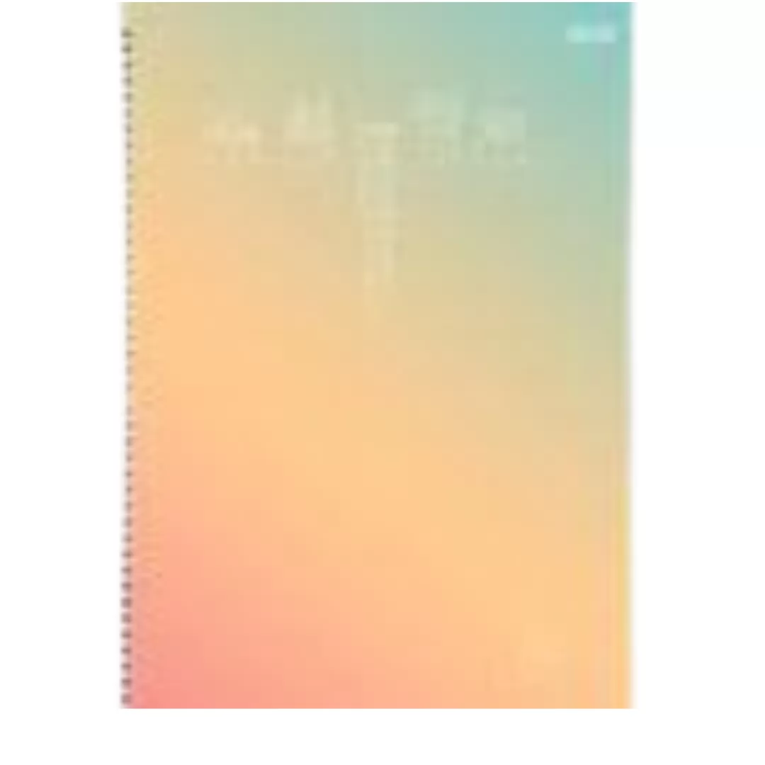 CADERNO UNIVERSITÁRIO 1M 80F CLEAN -SÃO DOMINGOS