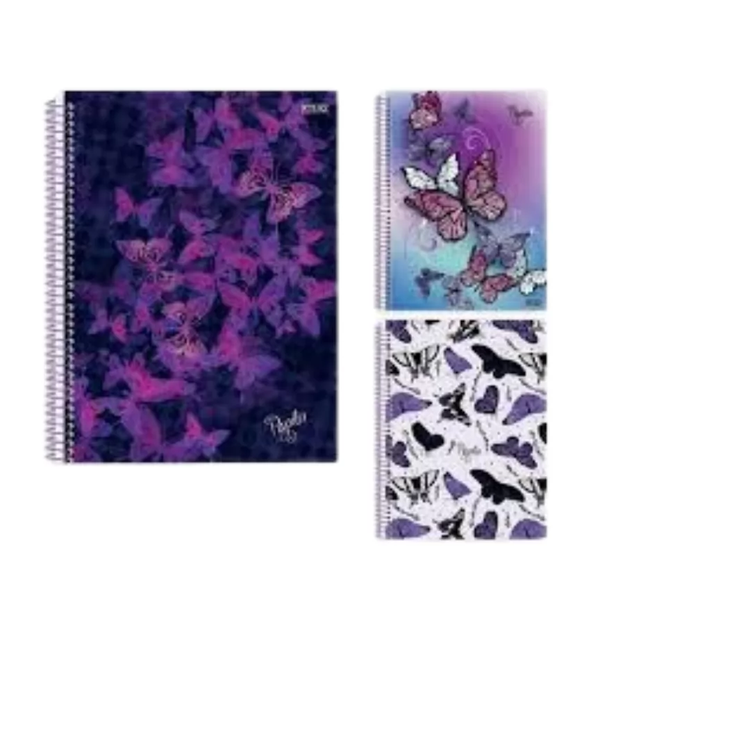 CADERNO UNIVERSITÁRIO 1M 80F PAPILIO-SÃO DOMINGOS