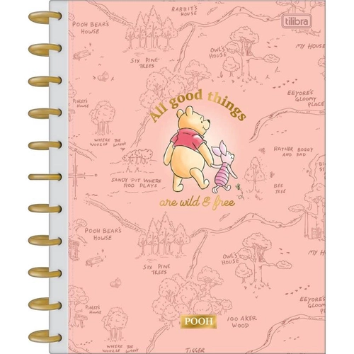 CADERNO TILIDISCO URSINHO POOH 10M 160- TILIBRA