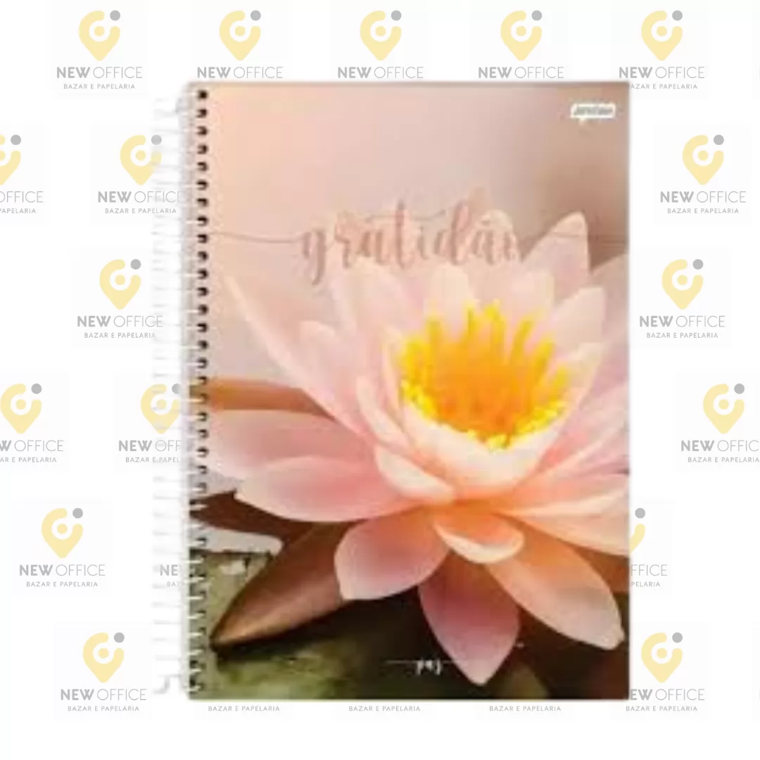 CADERNO 10M 160FLS PAZ- JANDAIA