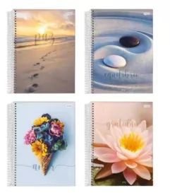 CADERNO ESPIRAL UNIV CD 15X1 240FLS  PAZ CAPAS SORTIDAS- JANDAIA