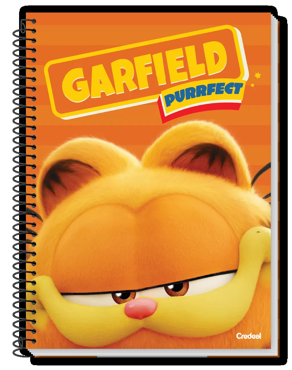 CADERNO  UNIVERSITÁRIO  1M 80 FLS GARFIELD O FILME- CREDEAL