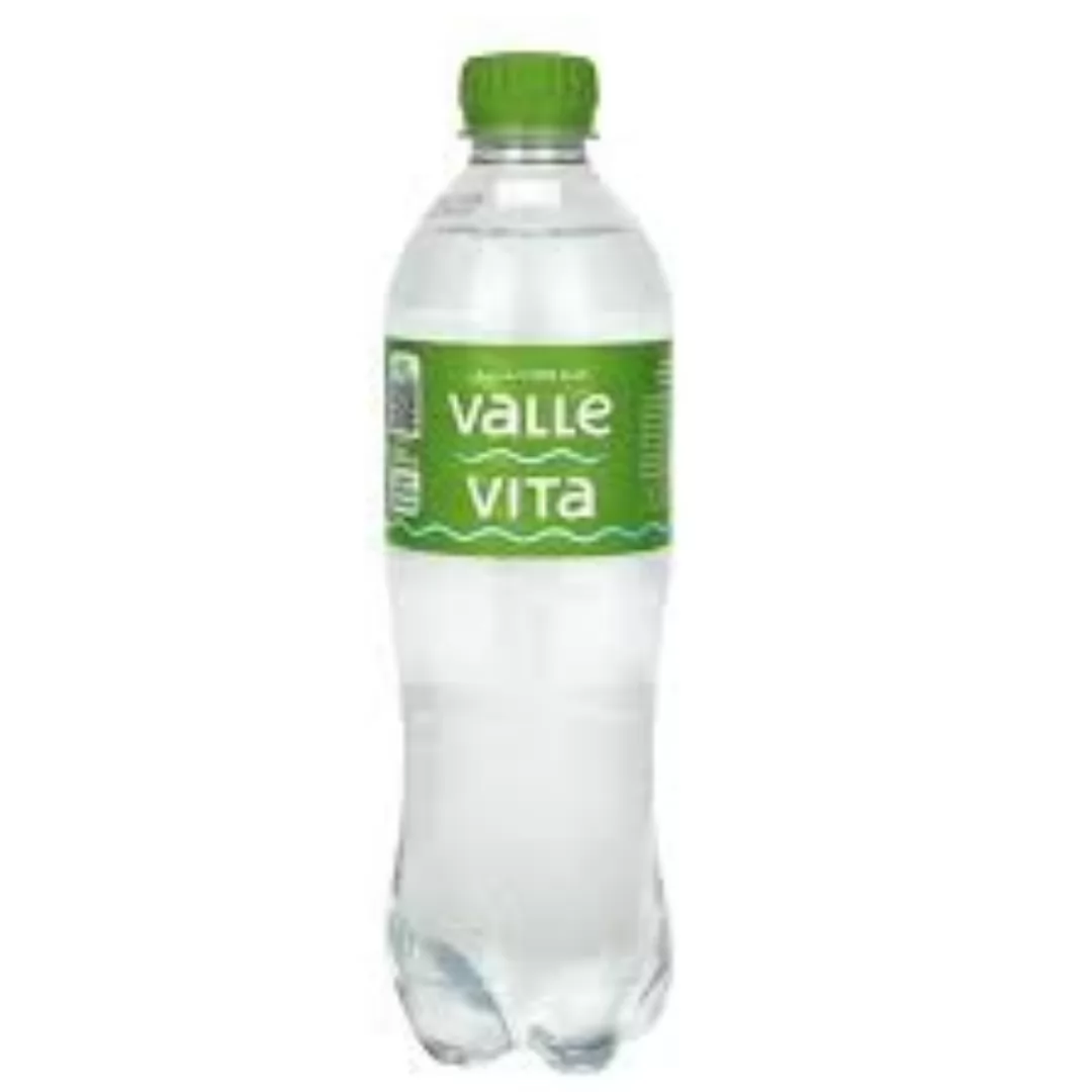 ÁGUA COM GÁS 500ML - VALLE VITA