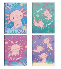 CADERNO BROCHURAO 80F AXOLOVE CAPAS SORTIDAS- FORONI