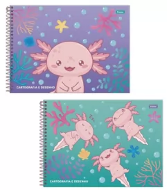 CADERNO DESENHO 80FLS AXOLOVE CAPAS SORTIDAS- FORONI