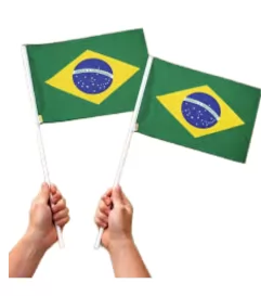 BANDEIRA BRASIL - 30X45 C/ CABO PLASTICO -BPG IMPORTS