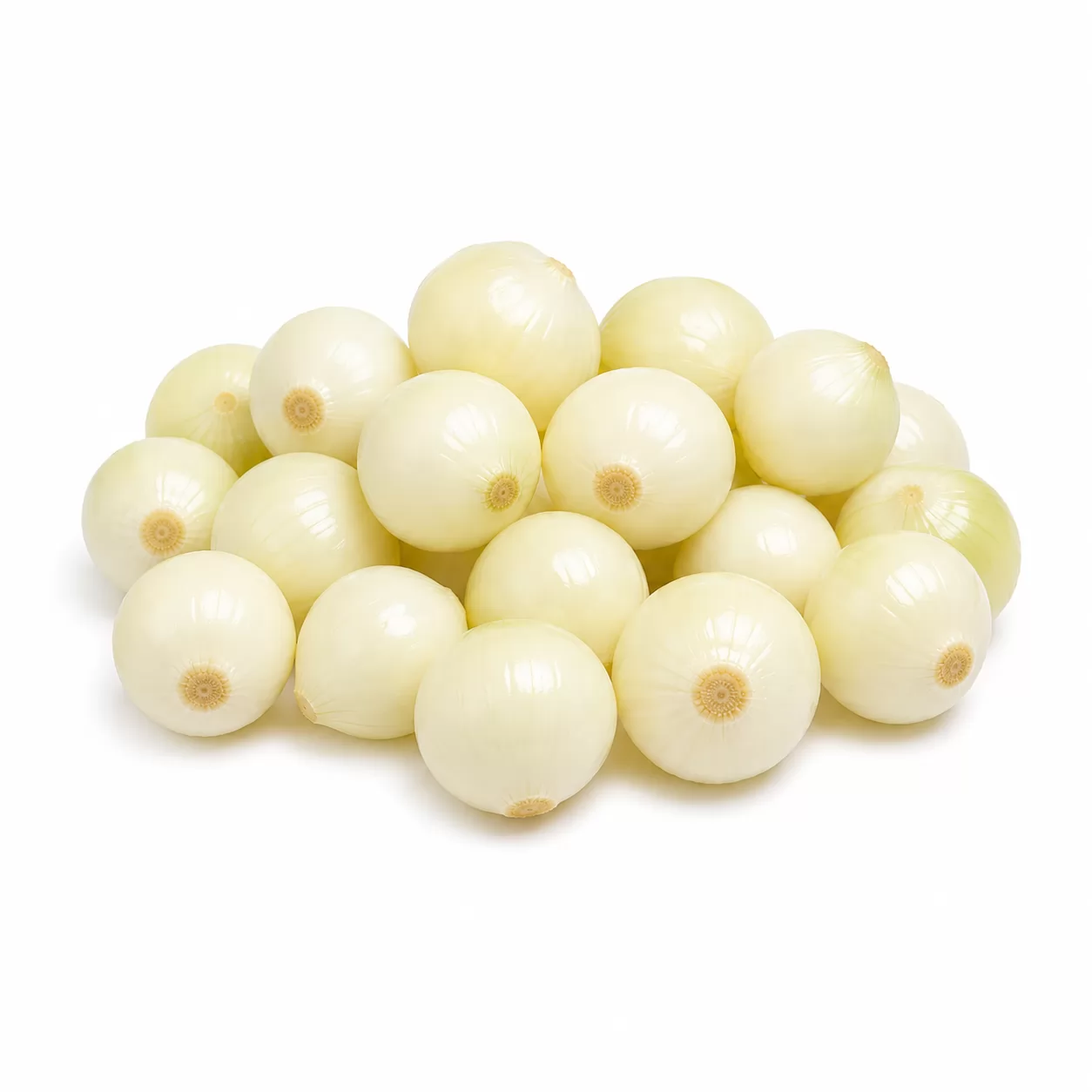 CEBOLA BABY HIGIENIZADA