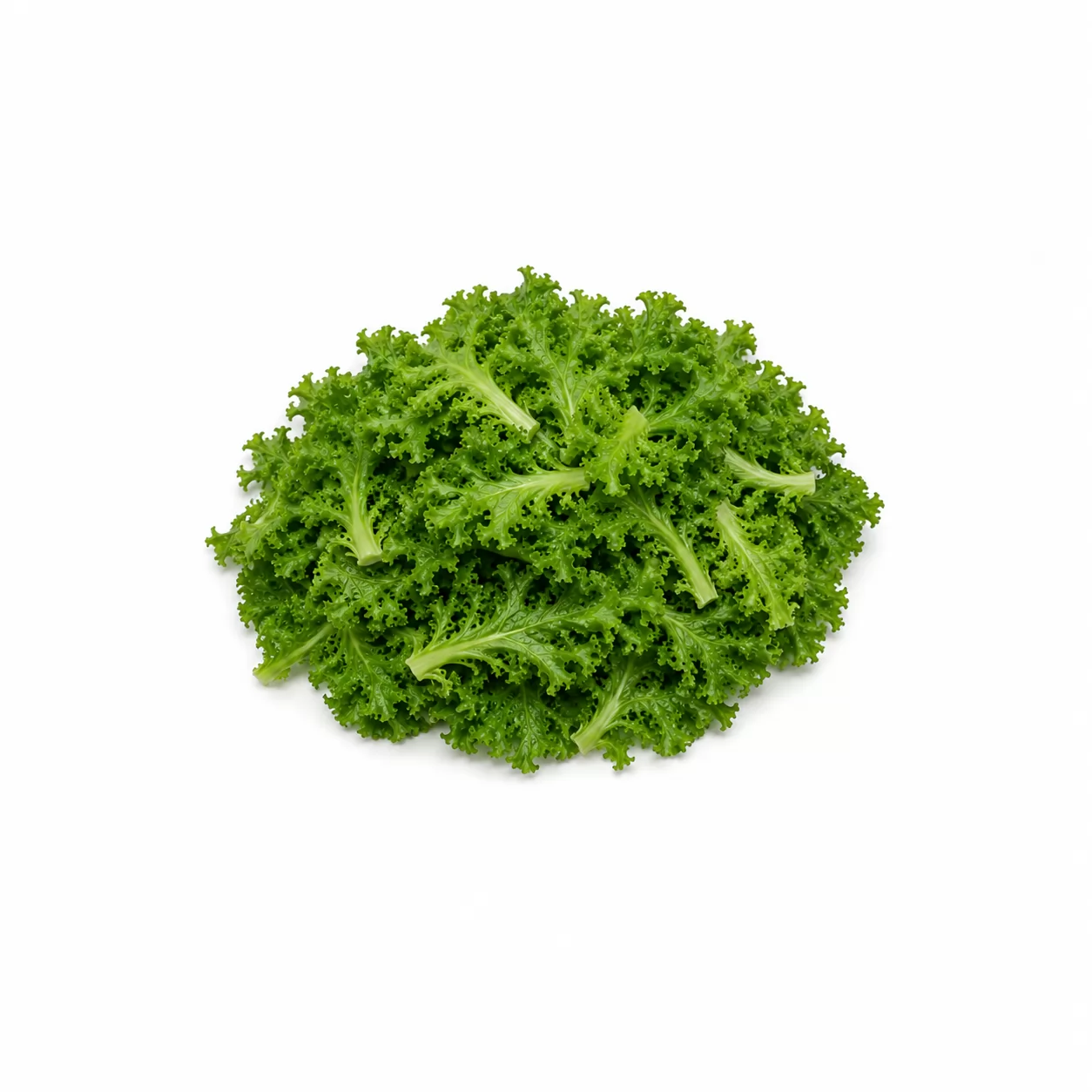 CHICORIA VERDE HIGIENIZADA