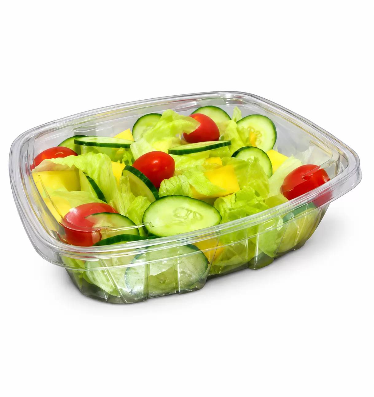 SALADA FRESH HIGIENIZADA