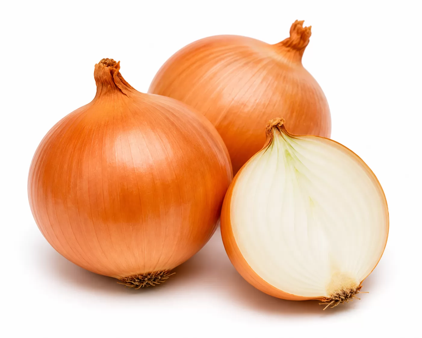 CEBOLA KG