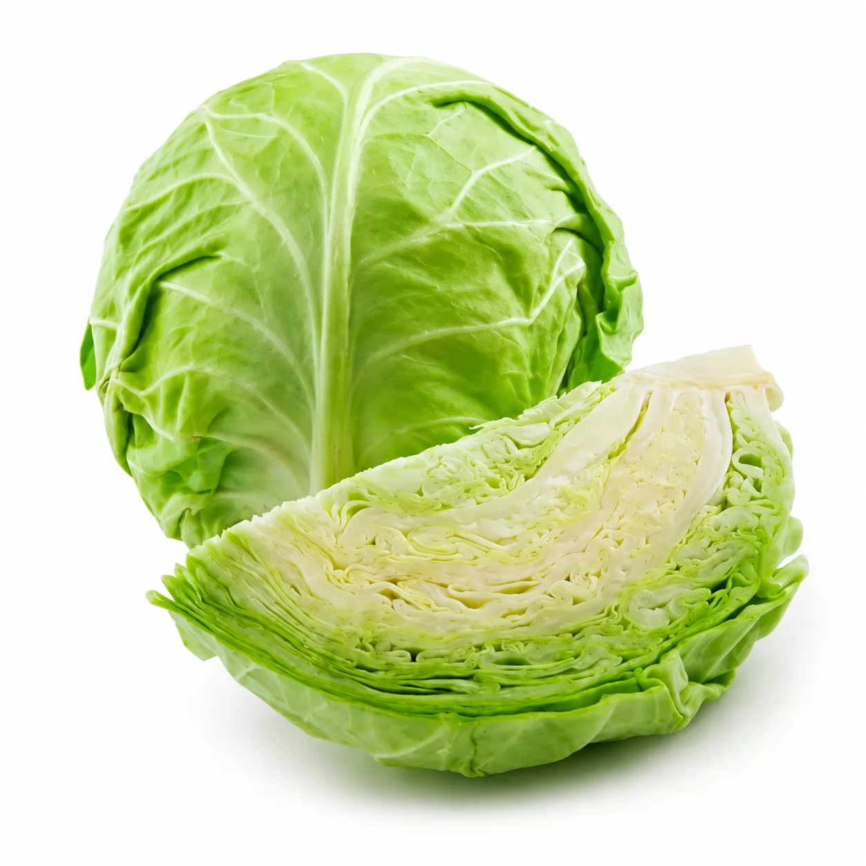 REPOLHO VERDE