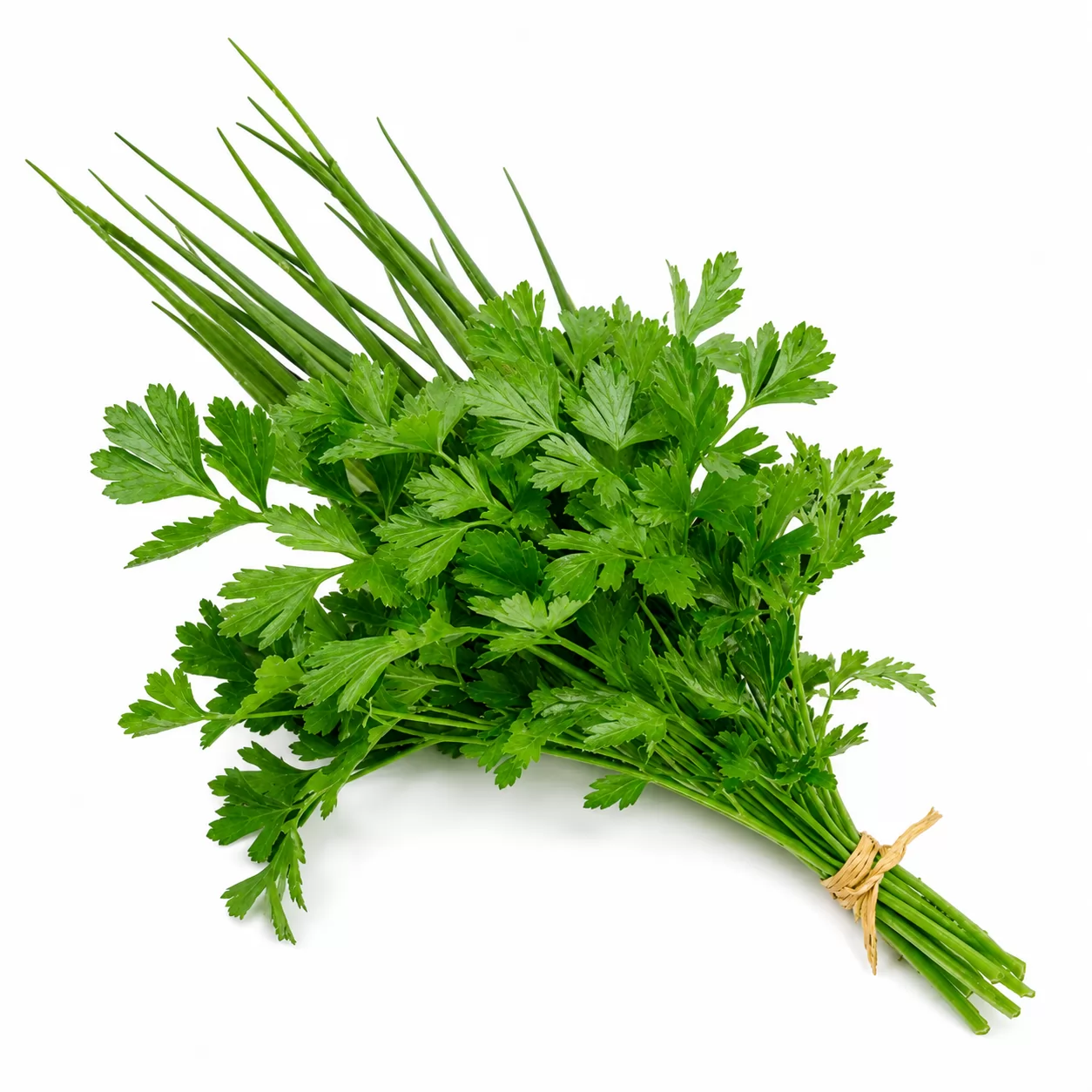 TEMPERO VERDE UN