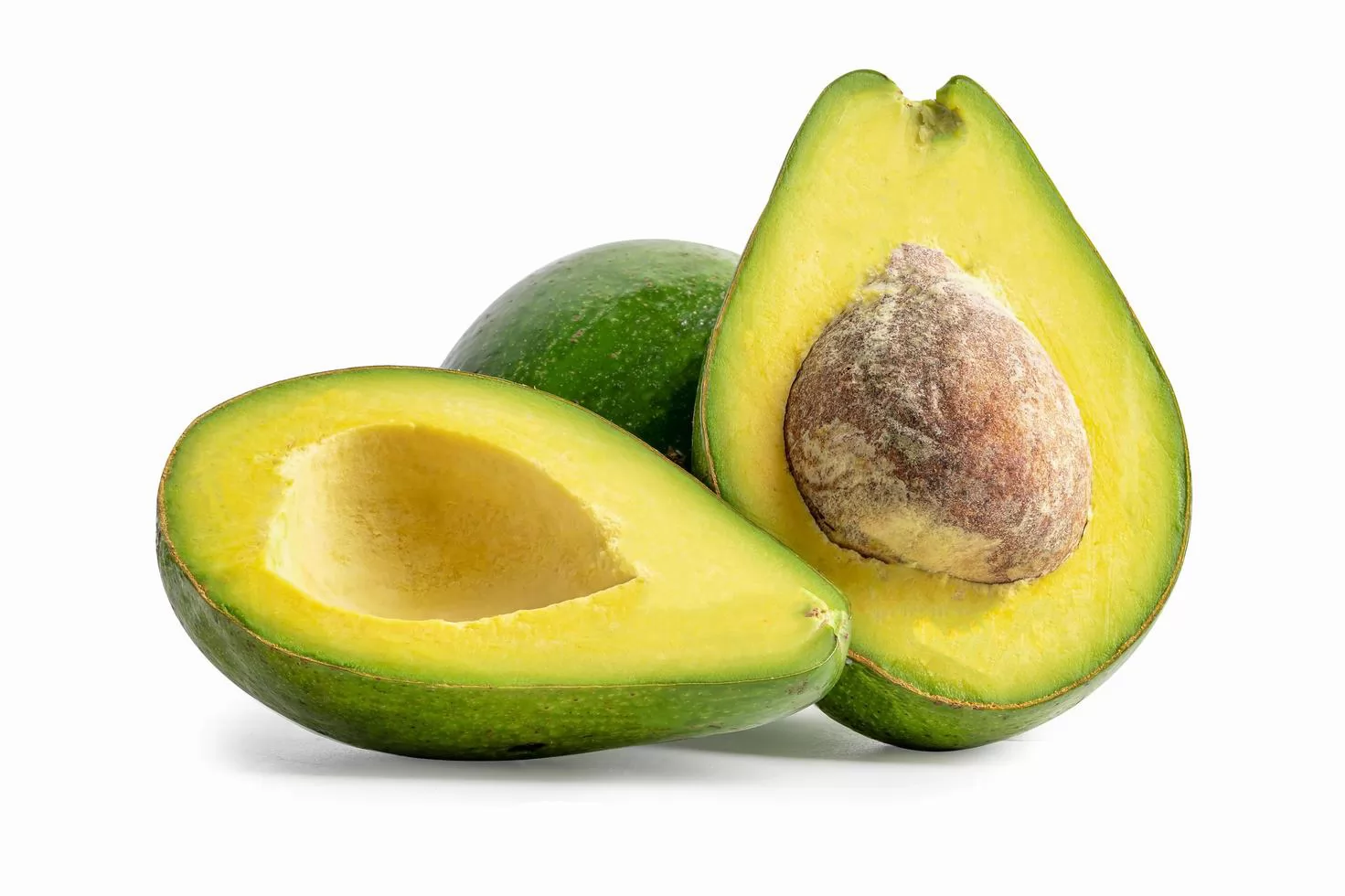 ABACATE AVOCADO